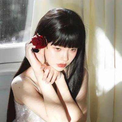 女黑侠木兰花粤语